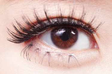 Similar image 6671391