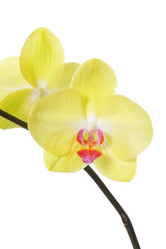 Similar image 6671394