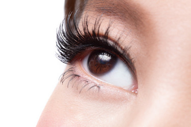 Similar image 6671402