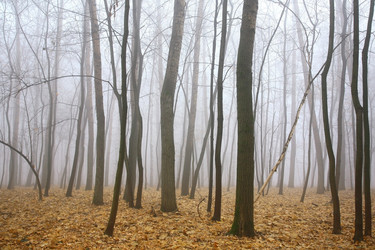 Similar image 6671483