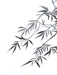 Similar image 6672021