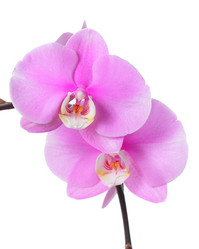 Similar image 6672142