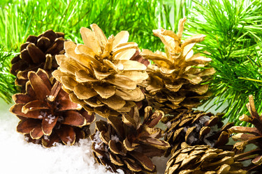 Similar image 6672171