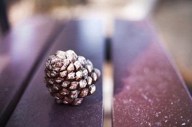 Similar image 6672184