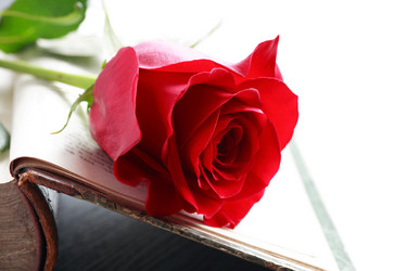 Similar image 6672192