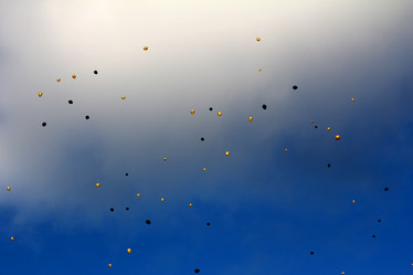 Similar image 6672195