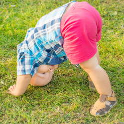 Similar image 6672272