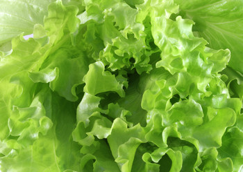 Similar image 6672666