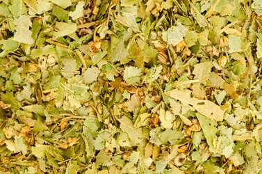 Similar image 6672712