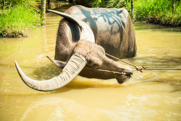 Similar image 6672718