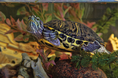 Similar image 6672747