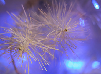 Similar image 6672785