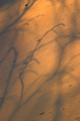 Similar image 6672794