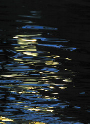 Similar image 6672795