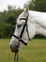 Similar image 6672809