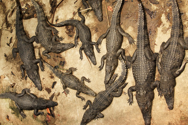 Similar image 6672813