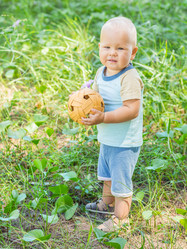 Similar image 6672844