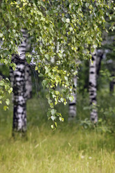 Similar image 6672849