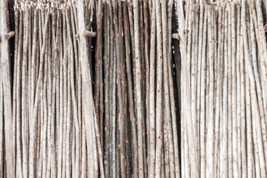 Similar image 6672863