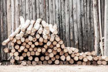 Similar image 6672864