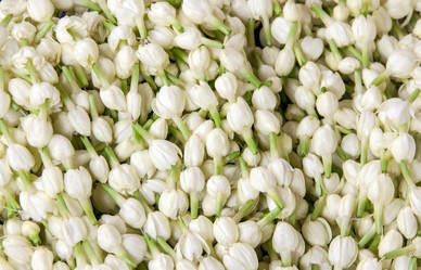 Similar image 6672951