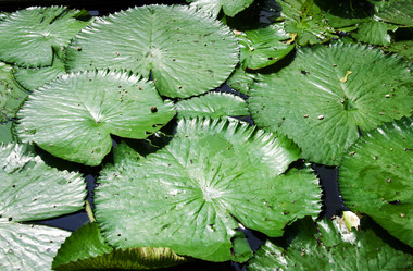 Similar image 6672977