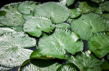 Similar image 6672979