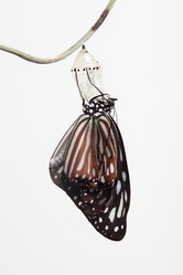 Similar image 6673170