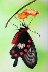 Similar image 6673182