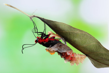 Similar image 6673233