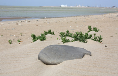 Similar image 6673451