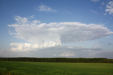 Similar image 6673452