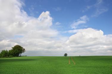 Similar image 6673461