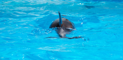 Similar image 6673493