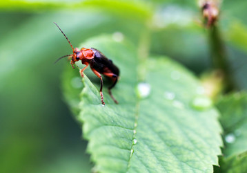 Similar image 6673626