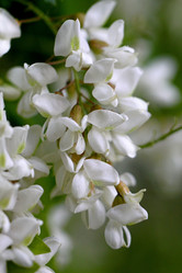 Similar image 6673635