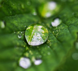 Similar image 6673637