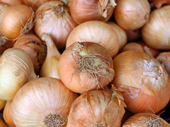 Similar image 6673653