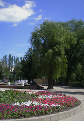 Similar image 6673689