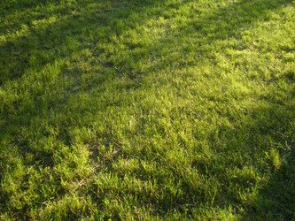 Similar image 6673696