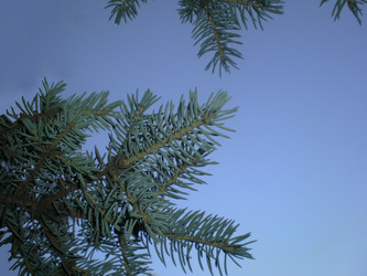 Similar image 6673698