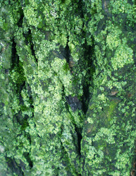 Similar image 6673700