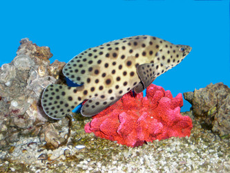 Similar image 6673704