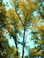 Similar image 6673735