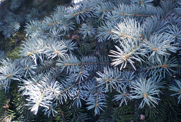 Similar image 6673736