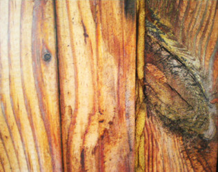 Similar image 6673753