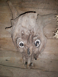 Similar image 6673758