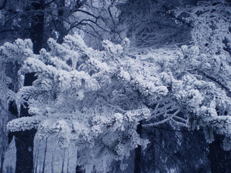 Similar image 6673818