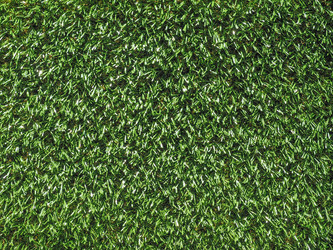 Similar image 6673866