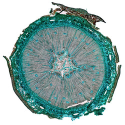 Similar image 6673881